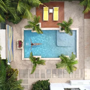 Bubali Bliss Aruba